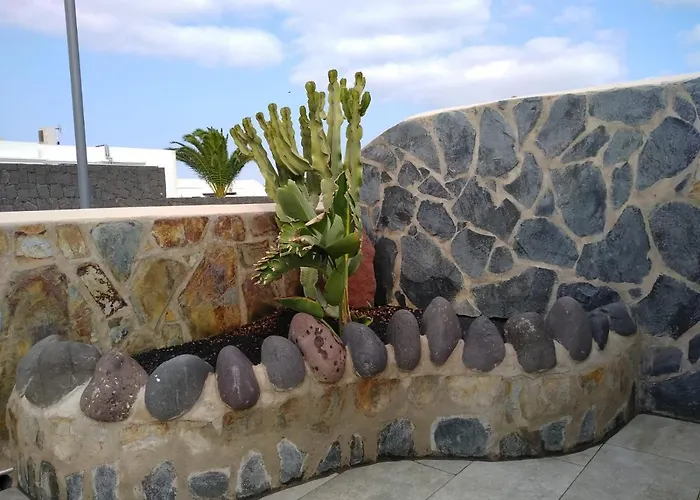 Tenike فيلة